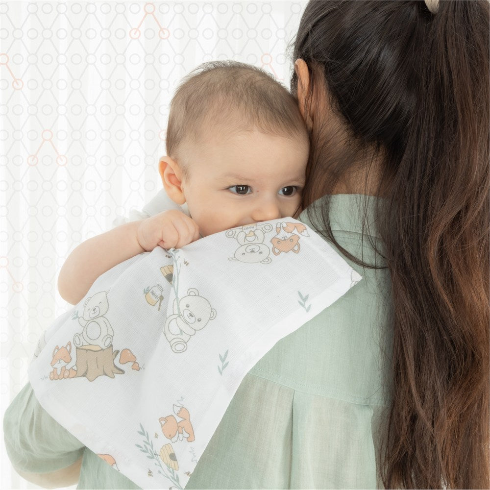 Gezenbebe Hero 3'lü Müslin Ağız ve Omuz Bezi Seti (30x30) Teddy