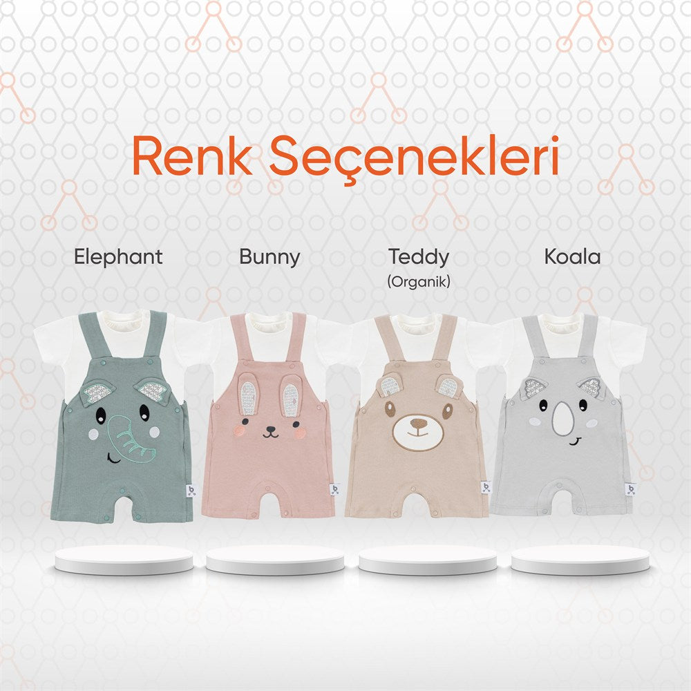 Gezenbebe Hero Kısa Kol Bebek T-Shirt & Nakışlı Salopet Seti Koala